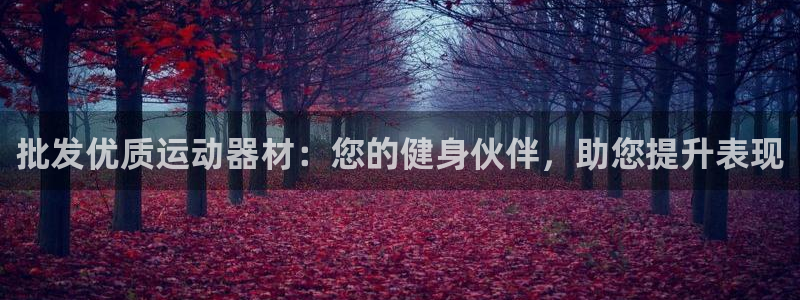 耀世娱乐怎么注册 贴吧：批发优质运动器材：您的健身伙