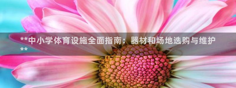 耀世三国官网：**中小学体育设施全面指南：器材和场地