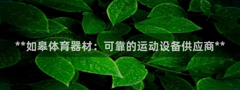 耀世娱乐挂机脚本：**如皋体育器材：可靠的运动设备供