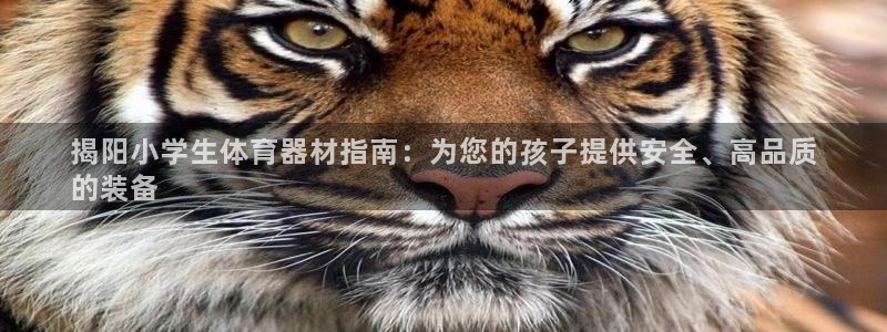 耀世娱乐优 411o31 耀世