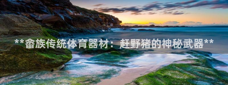 耀世平台登录地址：**畲族传统体育器材：赶野猪的神秘