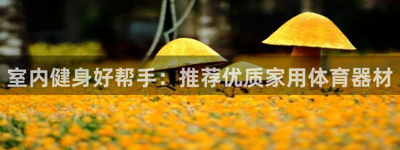耀世平台军7O777：室内健身好帮手：推荐优质家用体