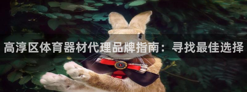 耀世平台主管代理：高淳区体育器材代理品牌指南：寻找最