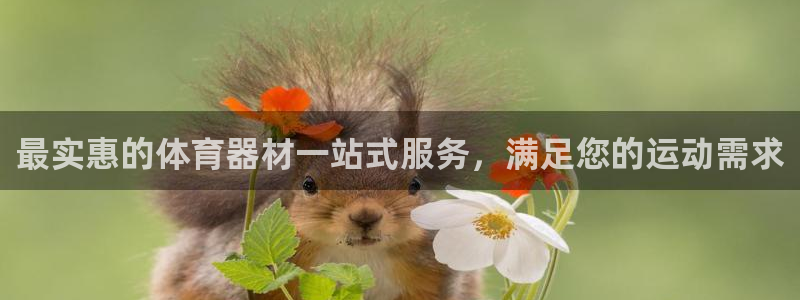 耀世集团商业联盟：最实惠的体育器材一站式服务，满足您