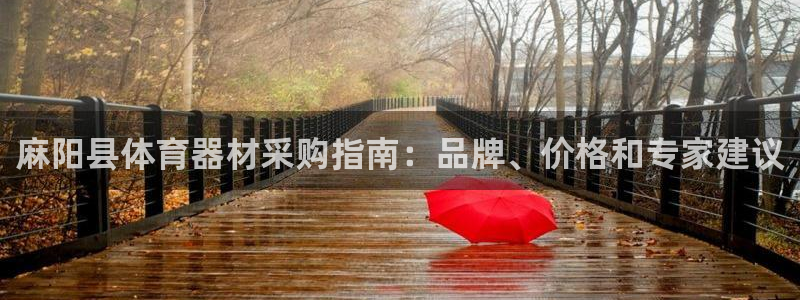 耀世娱乐app下载安装手机版：麻阳县体育器材采购指南