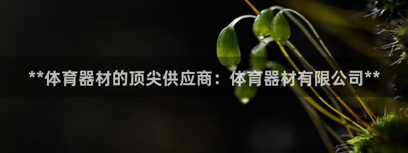 耀世娱乐官网首页登录不了：**体育器材的顶尖供应商：