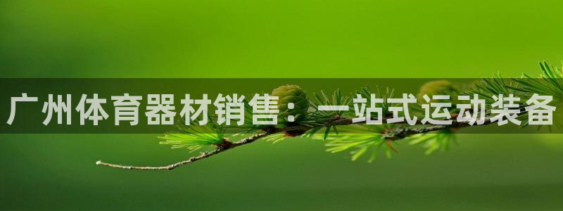 耀世娱乐app下载安装最新版：广州体育器材销售：一站