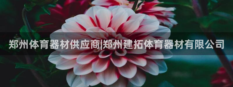 耀世平台开户联4.8.7.7.8.4他系稳定吗：郑州