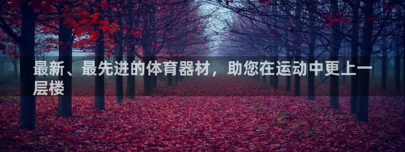 耀世平台升 411O31 耀世：最新、最先进的体育器