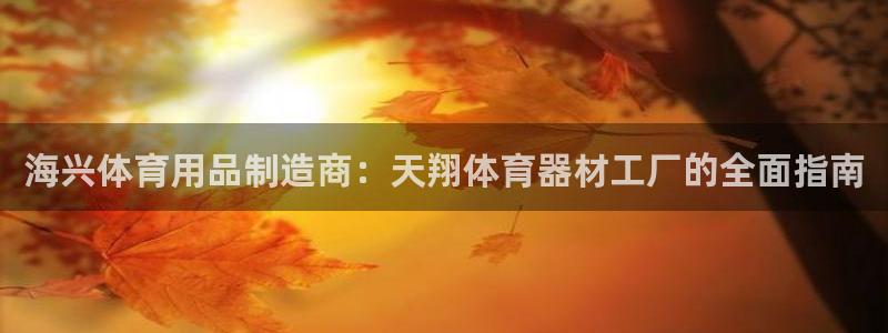 耀世燃气灶是哪个牌子：海兴体育用品制造商：天翔体育器