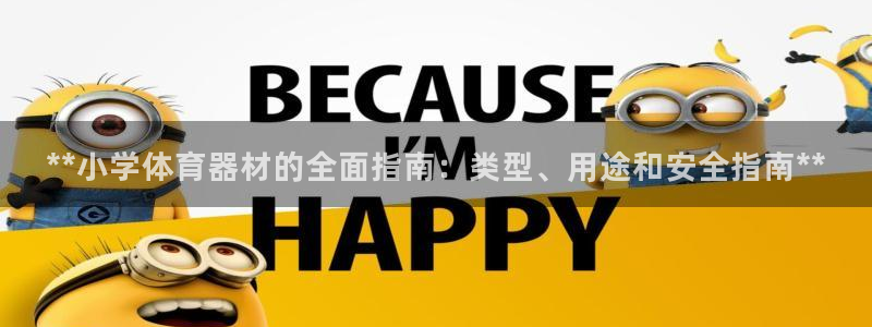 耀世平台app下载安装：**小学体育器材的全面指南：