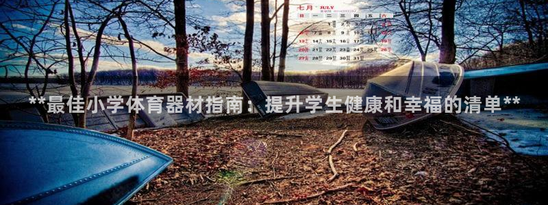 耀世娱乐赢咖6代理：**最佳小学体育器材指南：提升学