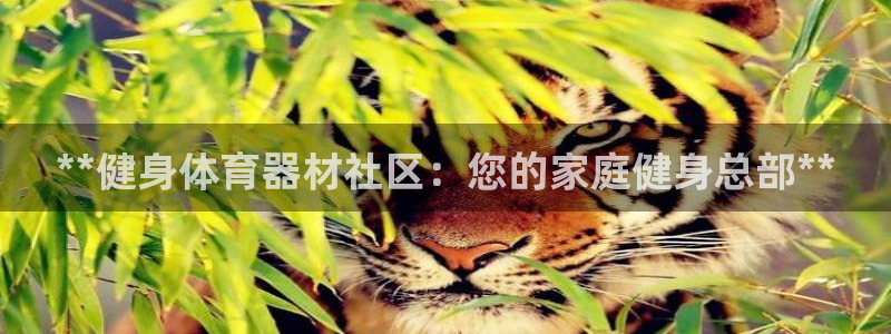 耀世集团是什么电影：**健身体育器材社区：您的家庭健