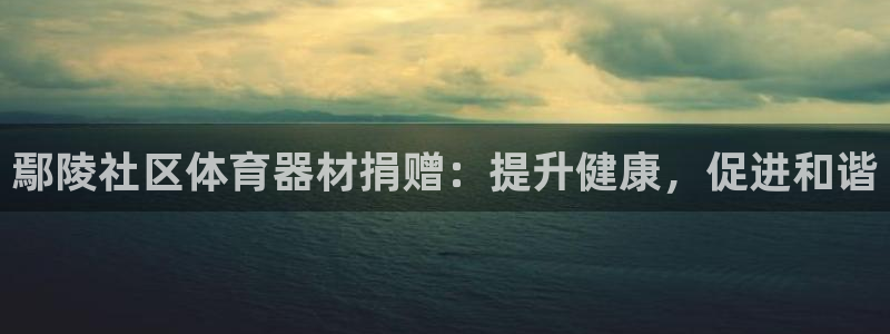 耀世娱乐注册：鄢陵社区体育器材捐赠：提升健康，促进和