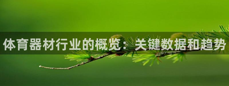 耀世娱乐是不是赚钱快：体育器材行业的概览：关键数据和