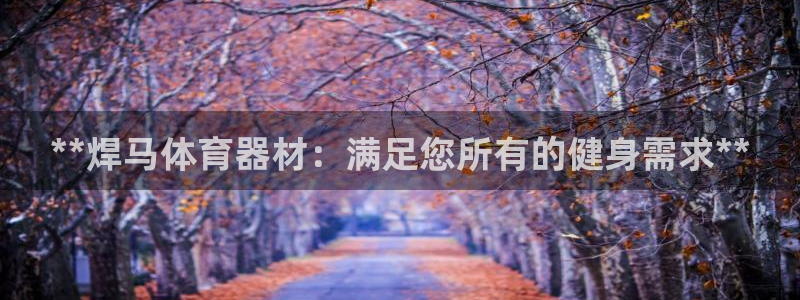 耀世天下：**焊马体育器材：满足您所有的健身需求**