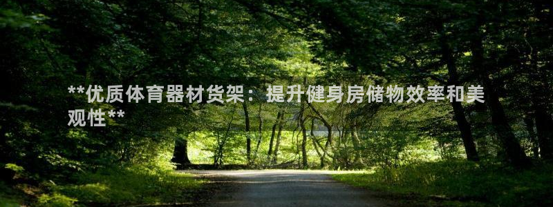 耀世微光曲谱：**优质体育器材货架：提升健身房储物效