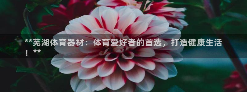 耀世娱乐注册登陆：**芜湖体育器材：体育爱好者的首选