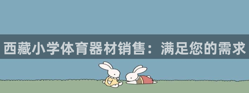 耀世娱乐列7O777：西藏小学体育器材销售：满足您的