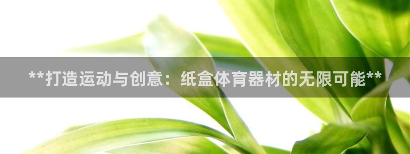 耀世娱乐平台主管：**打造运动与创意：纸盒体育器材的
