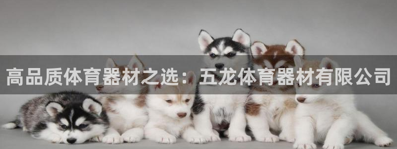 耀世平台想 58534I 平台：高品质体育器材之选：
