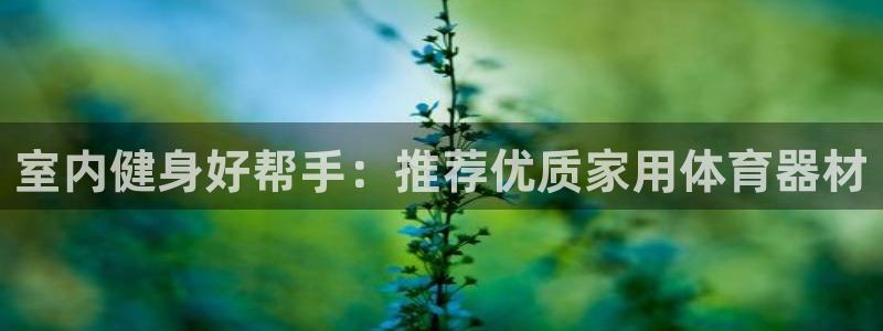 耀世天下的网名是什么意思啊男生：室内健身好帮手：推荐
