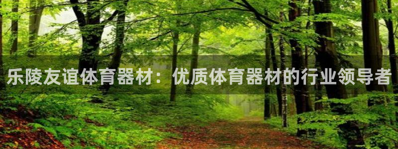 耀世平台招商怎么样：乐陵友谊体育器材：优质体育器材的