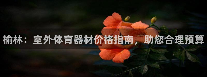 耀世平台代理注册登录不了：榆林：室外体育器材价格指南
