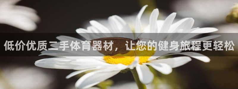 耀世挑战攻略：低价优质二手体育器材，让您的健身旅程更