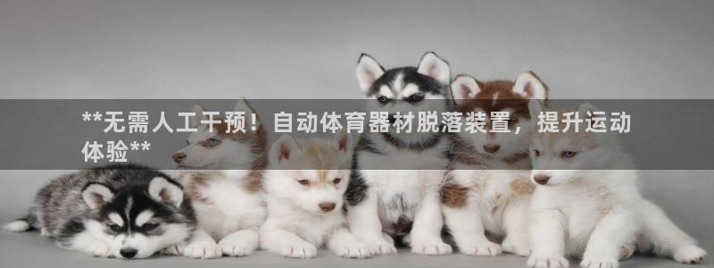 耀世娱乐是个什么平台啊：**无需人工干预！自动体育器