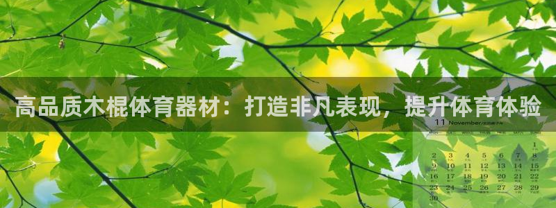 耀世娱乐挂机教程下载：高品质木棍体育器材：打造非凡表