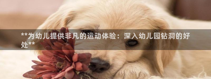 耀世集团王大聪：**为幼儿提供非凡的运动体验：深入幼