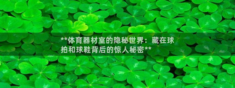 耀世娱乐登录地址在哪：**体育器材室的隐秘世界：藏在