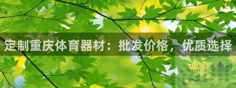 耀世平台将7O777：定制重庆体育器材：批发价格，优