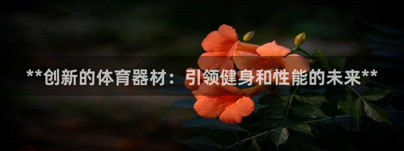 耀世平台注册网址是什么：**创新的体育器材：引领健身和性能的