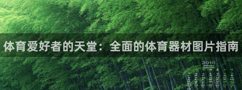 耀世平台主管代理是谁：体育爱好者的天堂：全面的体育器
