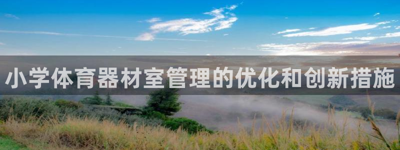 耀世盛典手游下载安装：小学体育器材室管理的优化和创新