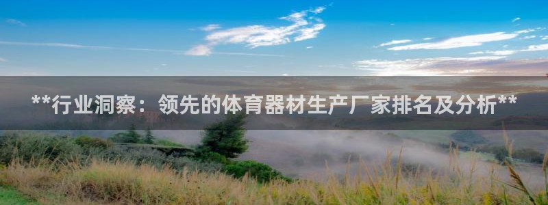 耀世平台哪个彩种是公平彩的：**行业洞察：领先的体育