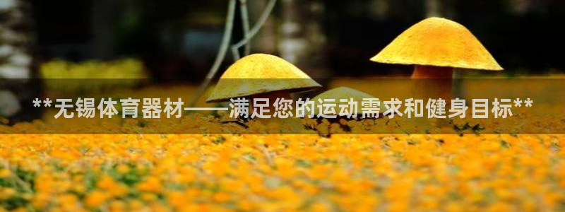 耀世娱乐挂机软件：**无锡体育器材——满足您的运动需