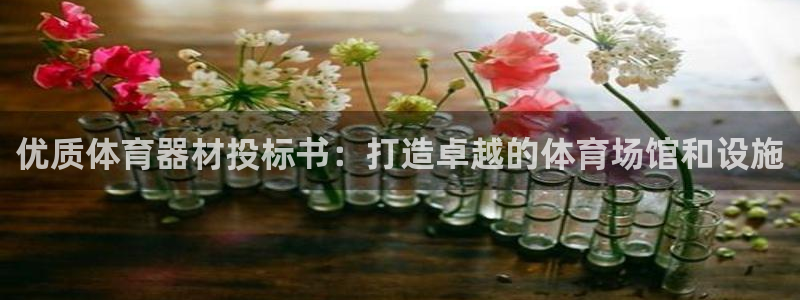 耀世娱乐挂机教程：优质体育器材投标书：打造卓越的体育