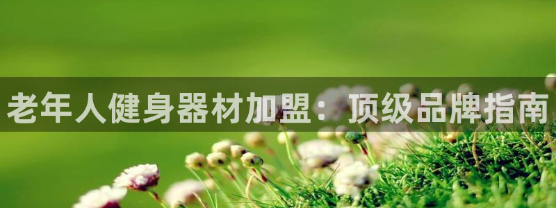耀世第二关：老年人健身器材加盟：顶级品牌指南
