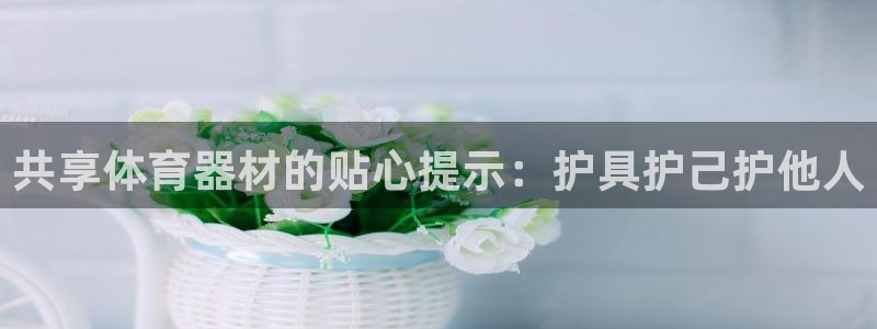耀世传说：共享体育器材的贴心提示：护具护己护他人