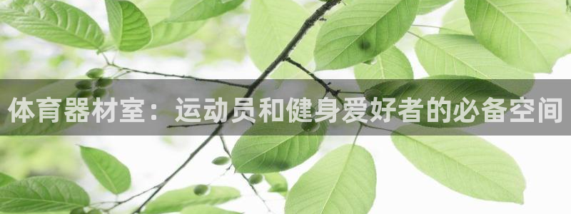 耀世娱乐返点：体育器材室：运动员和健身爱好者的必备空