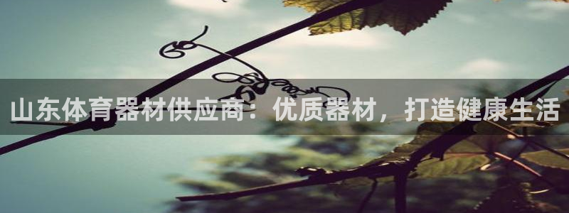 耀世微光简谱：山东体育器材供应商：优质器材，打造健康