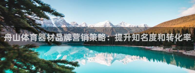 耀世启幕：舟山体育器材品牌营销策略：提升知名度和转化