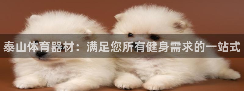 耀世娱乐注册开户要多久：泰山体育器材：满足您所有健身