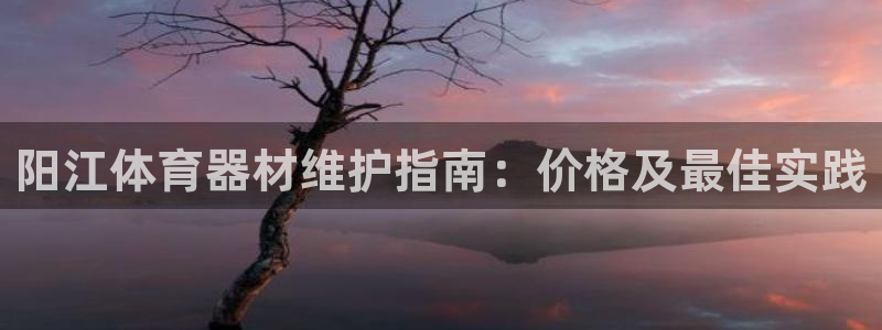 耀世娱乐如何登录账号密码：阳江体育器材维护指南：价格