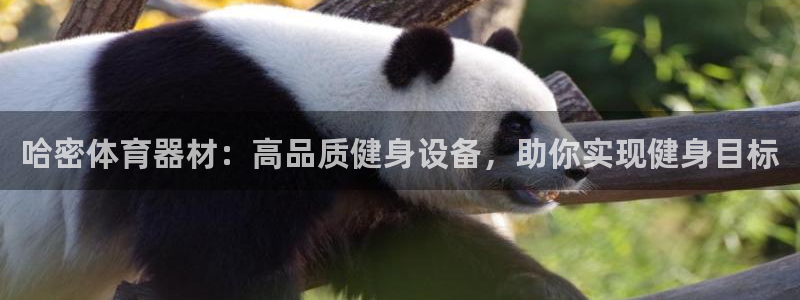 耀世平台代理怎么样：哈密体育器材：高品质健身设备，助