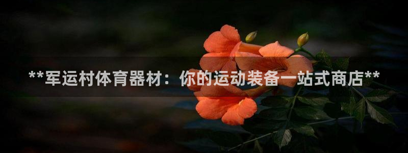 耀世平台代理怎么做任务：**军运村体育器材：你的运动