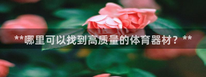 耀世集团视频直播怎么样：**哪里可以找到高质量的体育